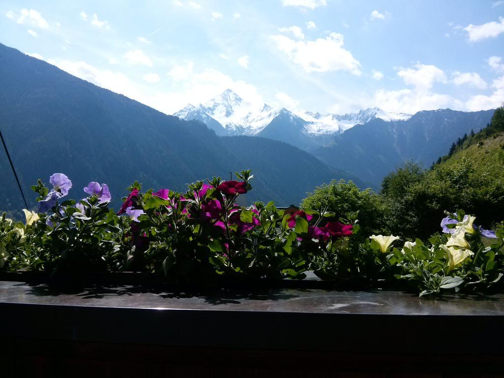 Apartament Zuppinger *
